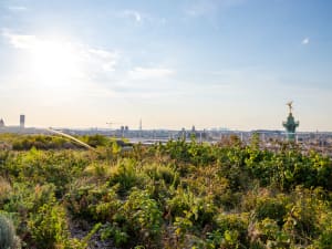 Atelier potager urbain sur les toits de l’Opéra Bastille à Paris