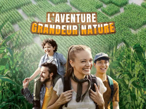 Labyrinthe géant dans un champ de maïs à Amiens (80)