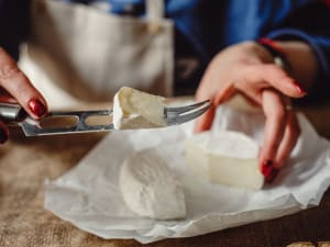 Dégustation vins & fromages à Bordeaux (33)