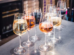 Visite complète & dégustation au domaine P&B Couly (37)