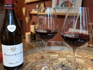 Atelier dégustation de vins à Dijon (21)