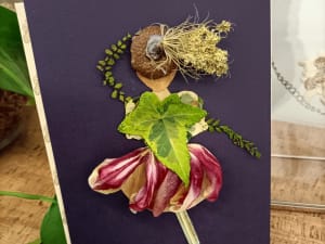 Atelier réalisation d'un pochoir ou tableau végétal à Dax (40)