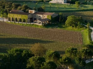 Balade viticole en trottinette au domaine de Marie (84)