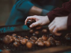 Atelier de fabrication d'huile de noix à Sarlat (24)