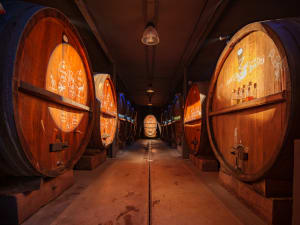 Visite, dégustation & repas alsacien au domaine Zeyssolff (67)