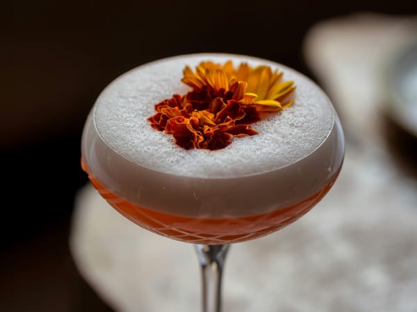 Mixology workshop in Paris 8th arrondissement