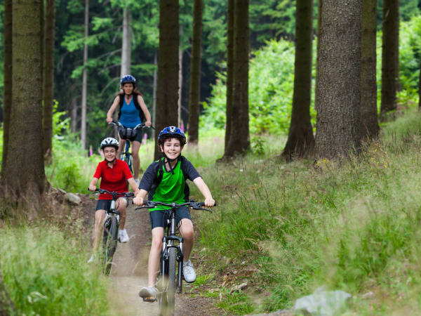 Mountain bike hire in the forest at Barbaste