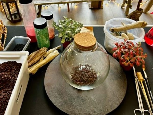 Atelier terrarium à St Martin du Var (06)