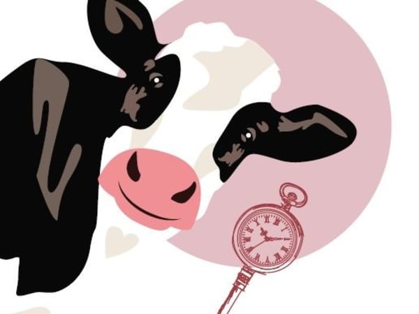 Lait'scape Game de la Bergerie Nationale de Rambouillet (78)