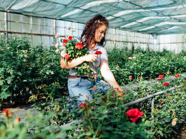 Journée d'initiation à l'horticulture à Avrainville (91)