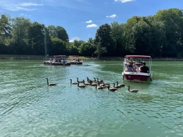 Location de bateau électrique (11 pers. max) à Cergy