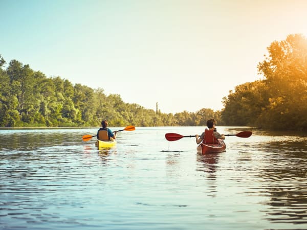 Location de Canoë à Juigné : descente de la Loire