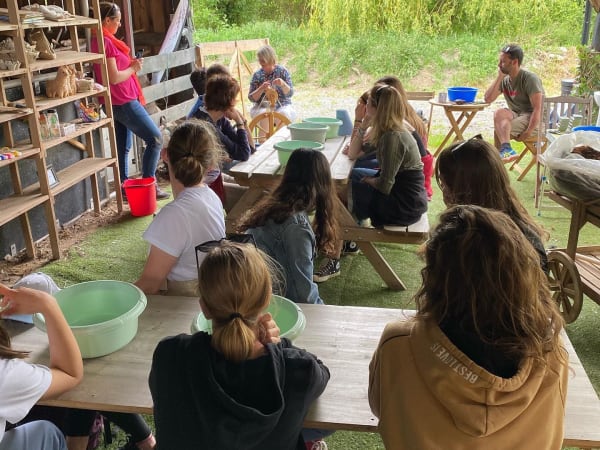 Descubrimiento de alpacas y taller de lana en Sanzay (79)