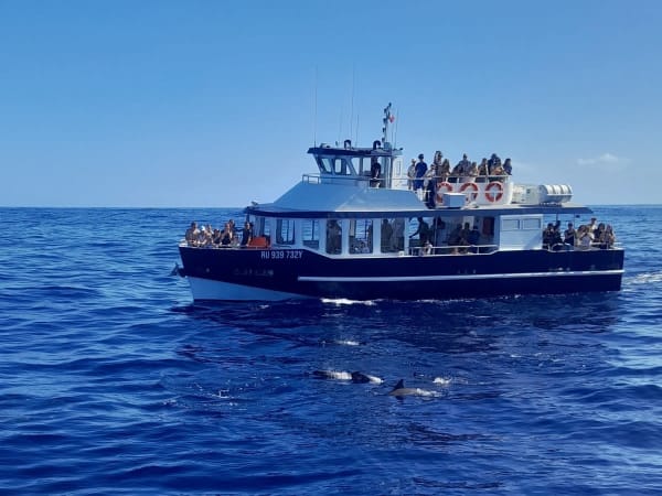 Croisière découverte des côtes à Saint-Gilles-les-Bains