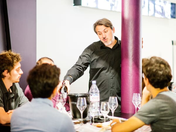 Team Building Dégustation de Vins à Marseille 6ème