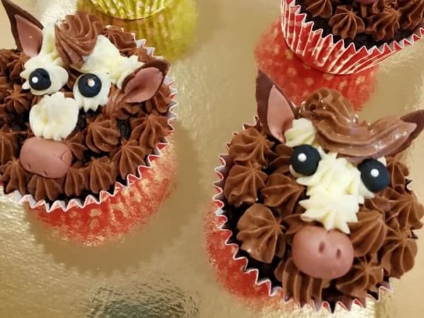 Anniversaire Pâtisserie à Plaisance-du-Touch (31)