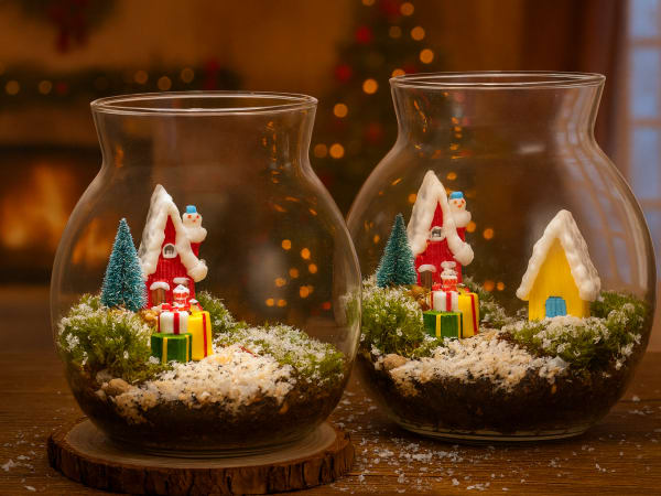 Taller de creación de terrarios en Lagny-sur-Marne (77)