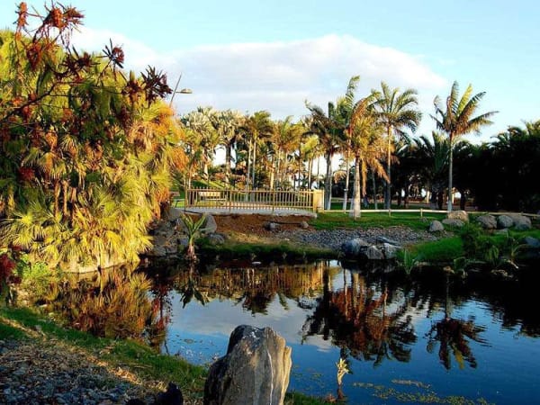 Palmetum de Santa Cruz de Tenerife: Admission ticket
