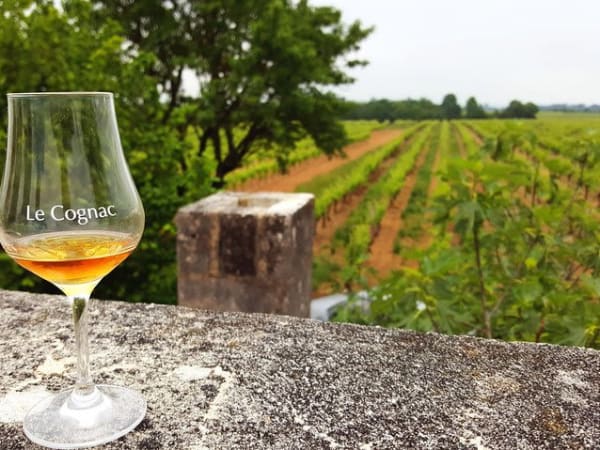 Cognac & distilleries private day from Angoulême (16)