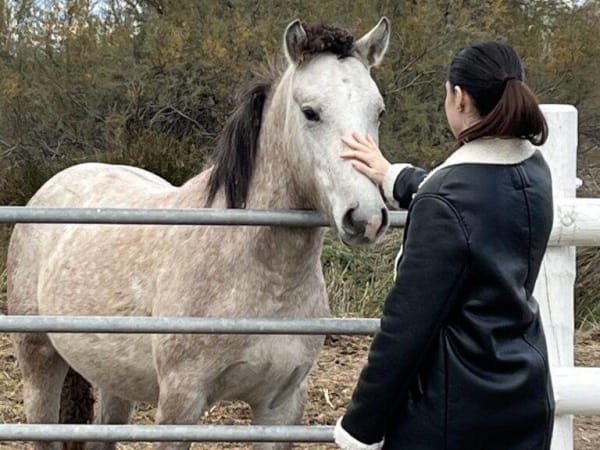 Camargue excursion and wine tasting in Aigues-Mortes (30)