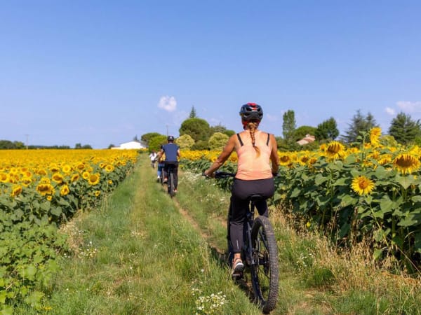 2h mountain bike rental with touring itinerary in Pujols