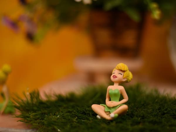 Anniversaire Fée 3-10 ans à domicile (IDF)