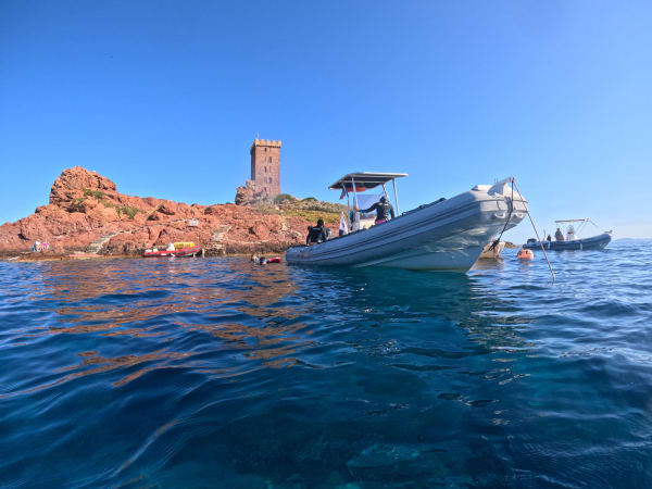 Snorkeling Cap Dramont et Ile d’Or à Saint-Raphaël (83)