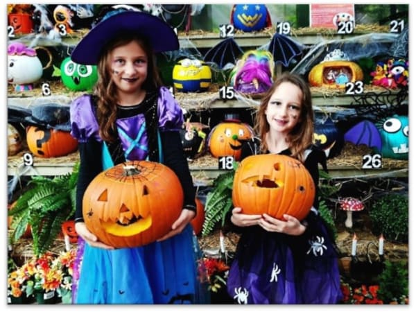 Children's Halloween pumpkin workshop at Truffaut Poitiers (86)
