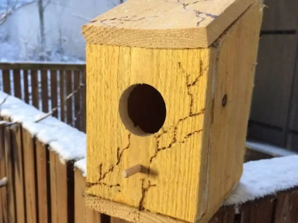 Anniversaire bricolage nichoir à oiseaux 6-12 ans à Paris 18ème