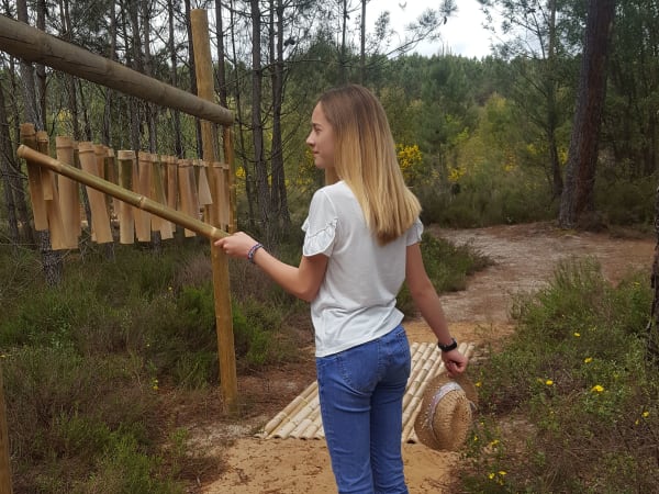 Sensitive forest walk in Barbaste