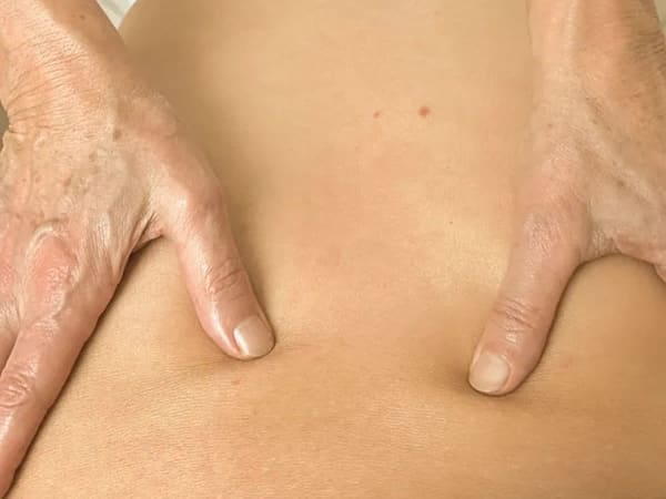 Massage aux huiles essentielles à Boissy-Saint-Léger (94)