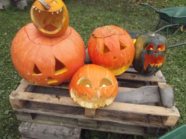 Pumpkin sculpture at Cueillette de l'Aragnon (64)