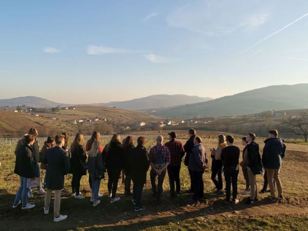Team building chasse au trésor dans les vignes à Lantignié (69)