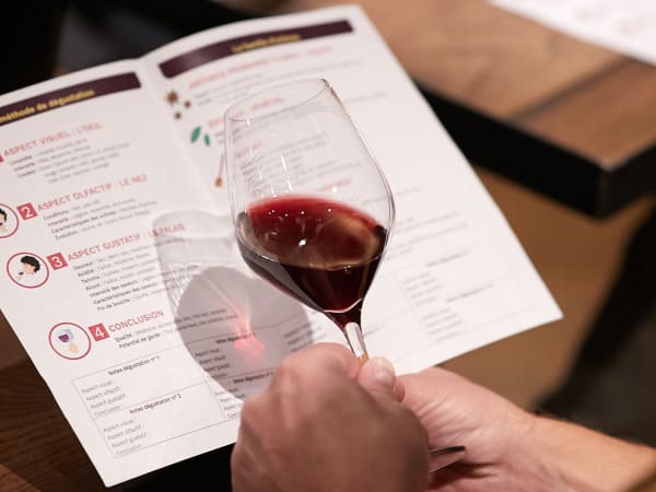 Enología, las bases de la degustación en Toulouse (2h)