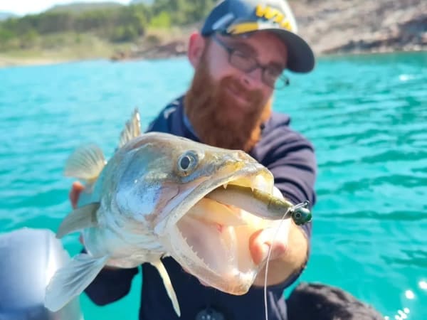 Initiation à la pêche et pause nature à Toulouse (31)