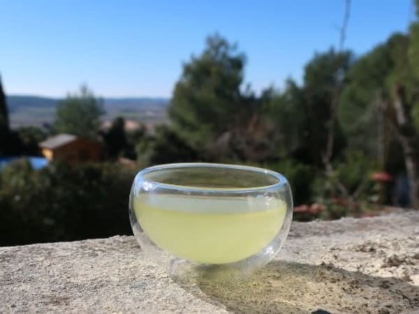 Atelier thés froids et mocktails à base de thé à Rennes (35)