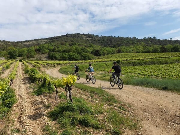 Electric bike ride and tasting in Vallon-Pont-d'Arc