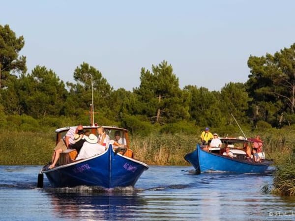 Team Building Food Tour en pinasse au Cap Ferret (33)