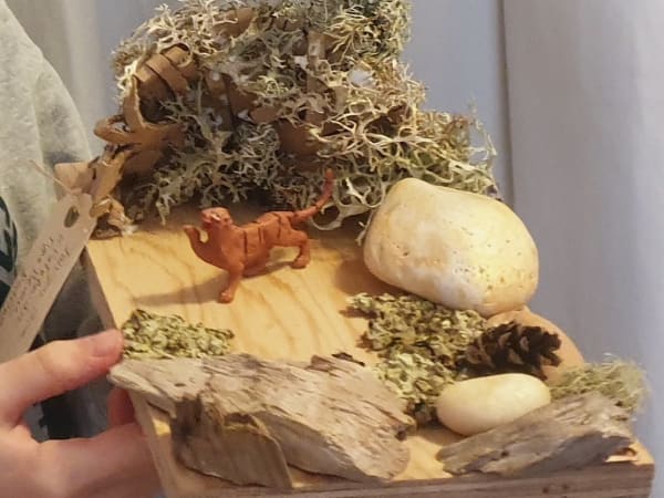 Atelier création tanière du tigre à Bordeaux (33)