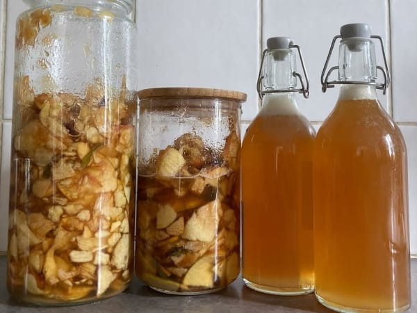 Atelier création de sodas et sirops fermentés à Toulouse (31)