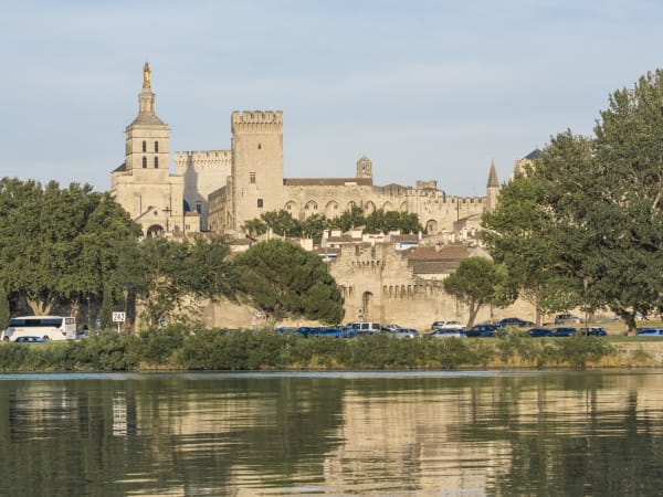 Visite guidée d'Avignon et du Palais des Papes en anglais (84)