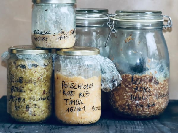 Atelier initiation à la fermentation japonaise à Toulouse (31)