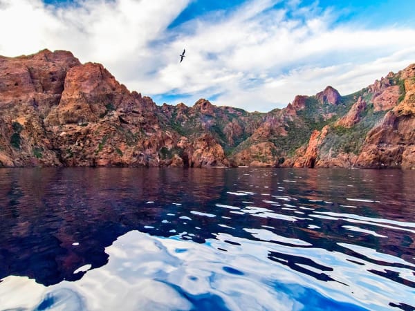 Découverte de la réserve de Scandola et Piana en bateau (20)