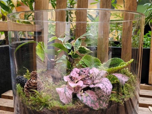 Team Building création terrarium ouvert à Lyon 2ème