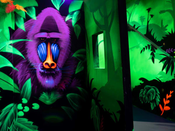 Laser Game spécial EVG/EVJF à Aulnay-sous-Bois (93)