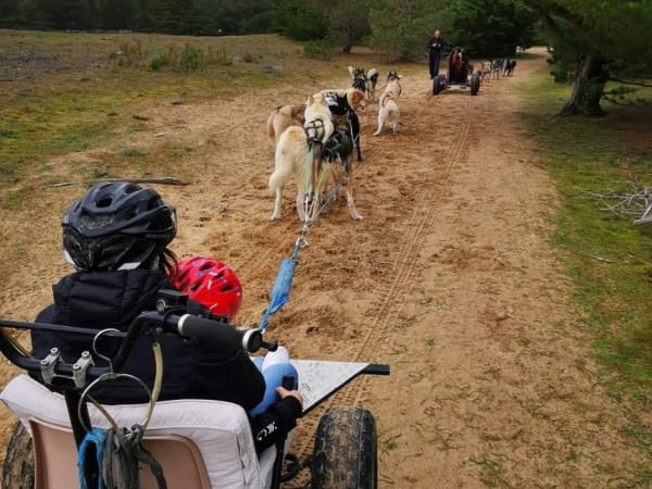 Cani-kart at La Ferrière (85)