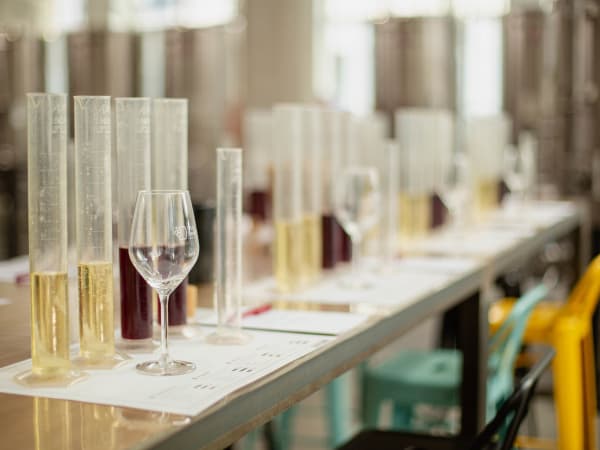 Team Building assemblage de vin à Lyon 6ème