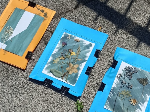 Atelier cyanotype à Strasbourg (67)