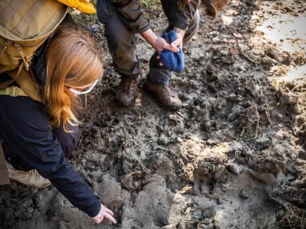 Stage de Survie enfant & famille proche de Paris