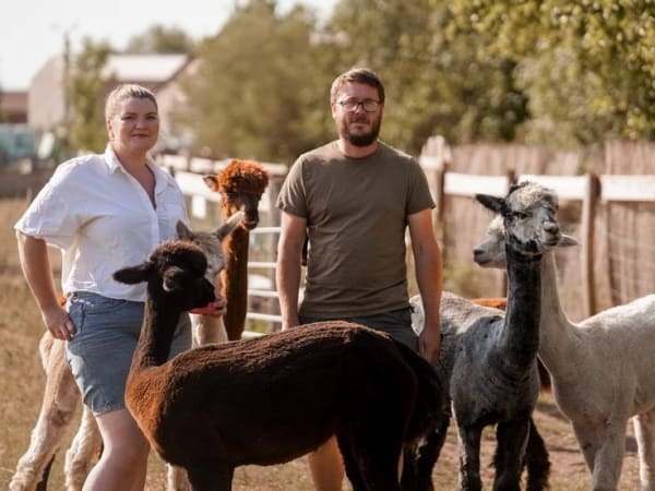 Encuentro con alpacas en Sanzay (79)